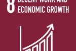 SDG 8