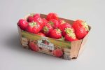 Berries 12009 Cardboard Tray NNZ DE