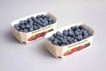 Berries 12007 Cardboard Tray NNZ DE[1]